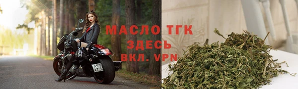 ГАЛЛЮЦИНОГЕННЫЕ ГРИБЫ Михайлов