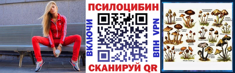купить наркоту  Уссурийск  Псилоцибиновые грибы Psilocybe 